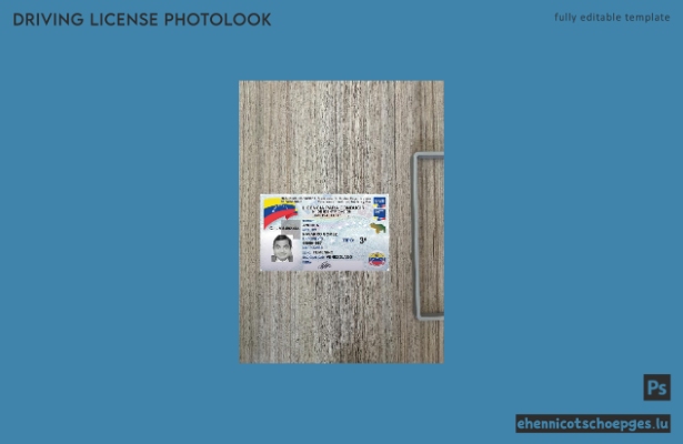 Venezuela Führerschein 2023-heute Fotoansicht Beispielvorschau